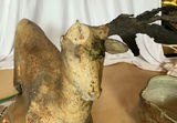 Mexican And African Pottery - thumbnail 12 of 14
