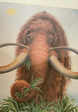 Framed Whimsical Animal Art - thumbnail 4 of 7