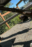 Folding Picnic Table. - thumbnail 4 of 4