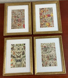 Set of seven framed art prints - thumbnail 5 of 5