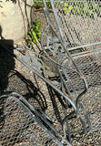 Vintage Wrought Iron Chairs. - thumbnail 5 of 5