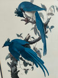 Botanical Birds Lithograph  - thumbnail 2 of 6
