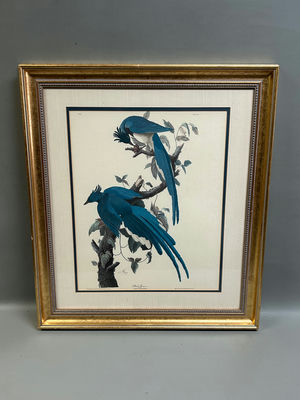 Botanical Birds Lithograph  - Image 1 of 6