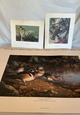Bird Prints - Image 1 of 4