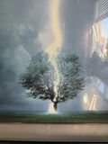 Framed Nature Prints - thumbnail 2 of 4