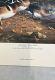Bird Prints - thumbnail 2 of 4