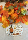 Fall Decorations - thumbnail 2 of 5