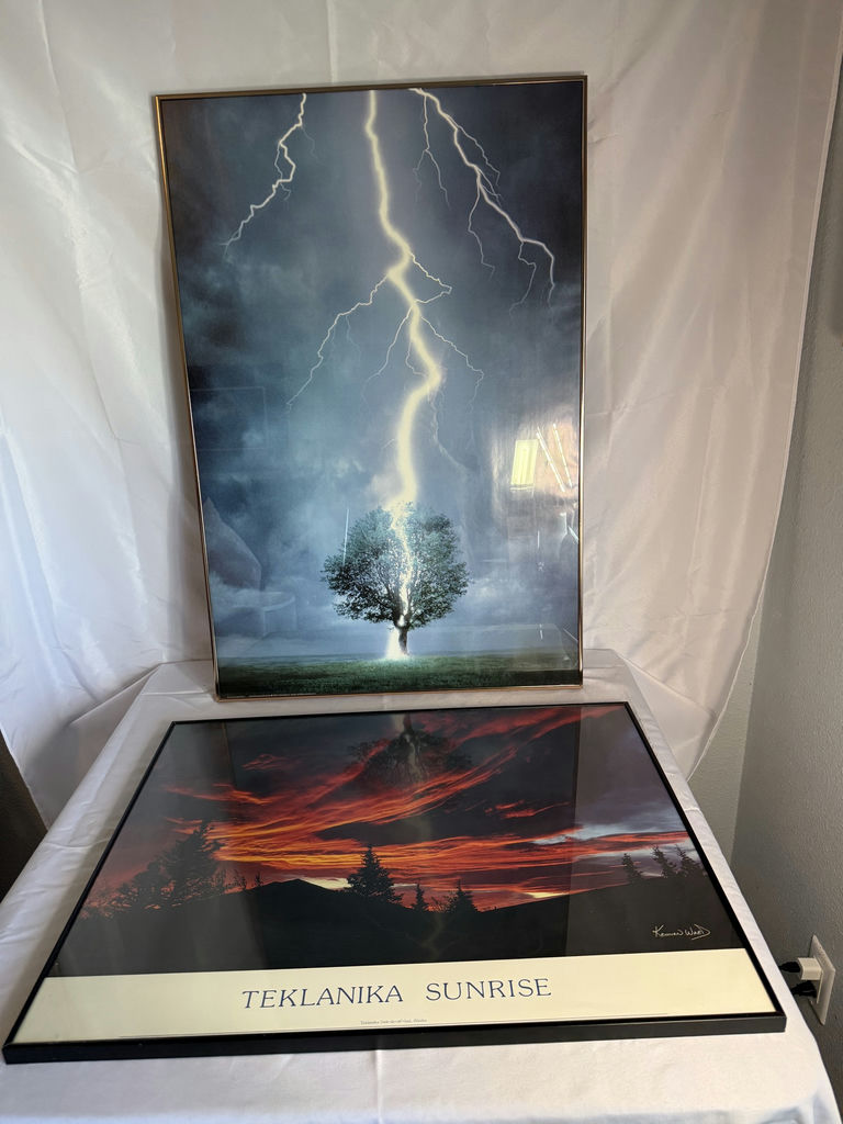 Framed Nature Prints - image 1 of 4