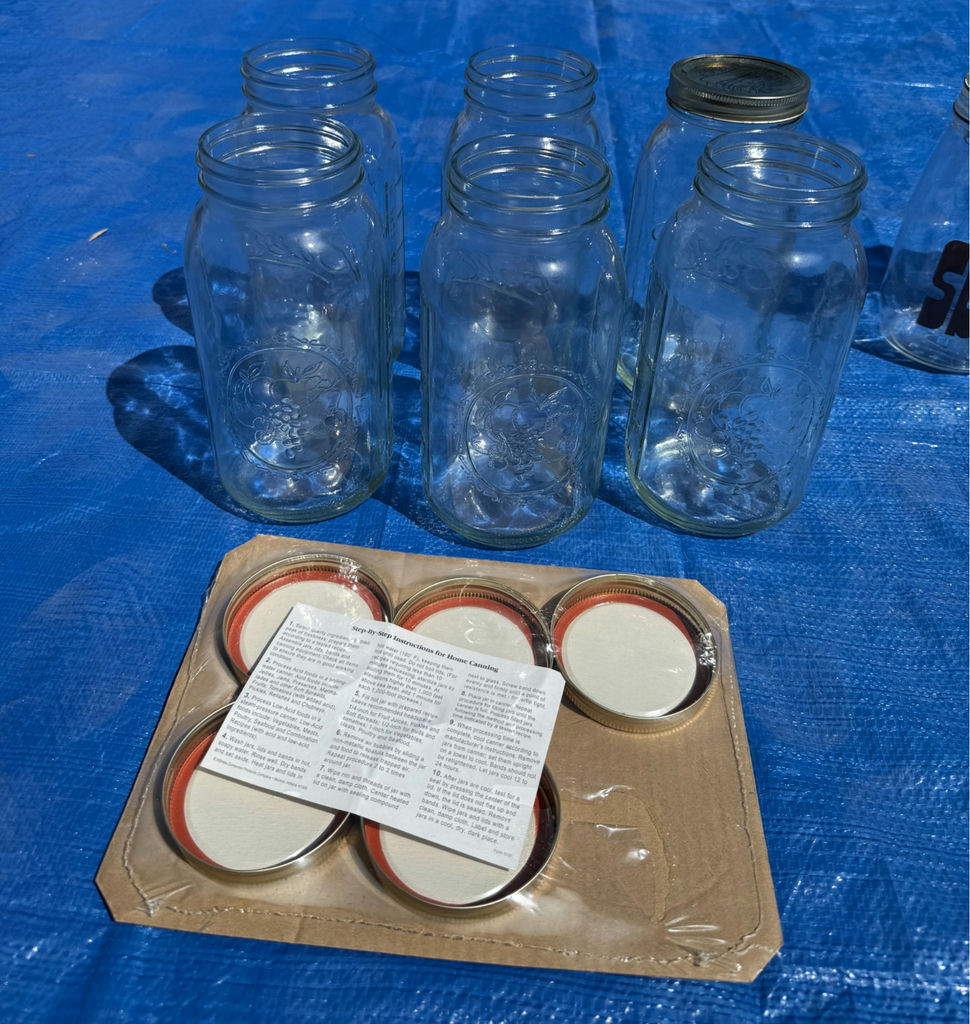 Assorted Mason Jars and Lids - image 4 of 4