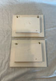 Shell Decor - thumbnail 7 of 7