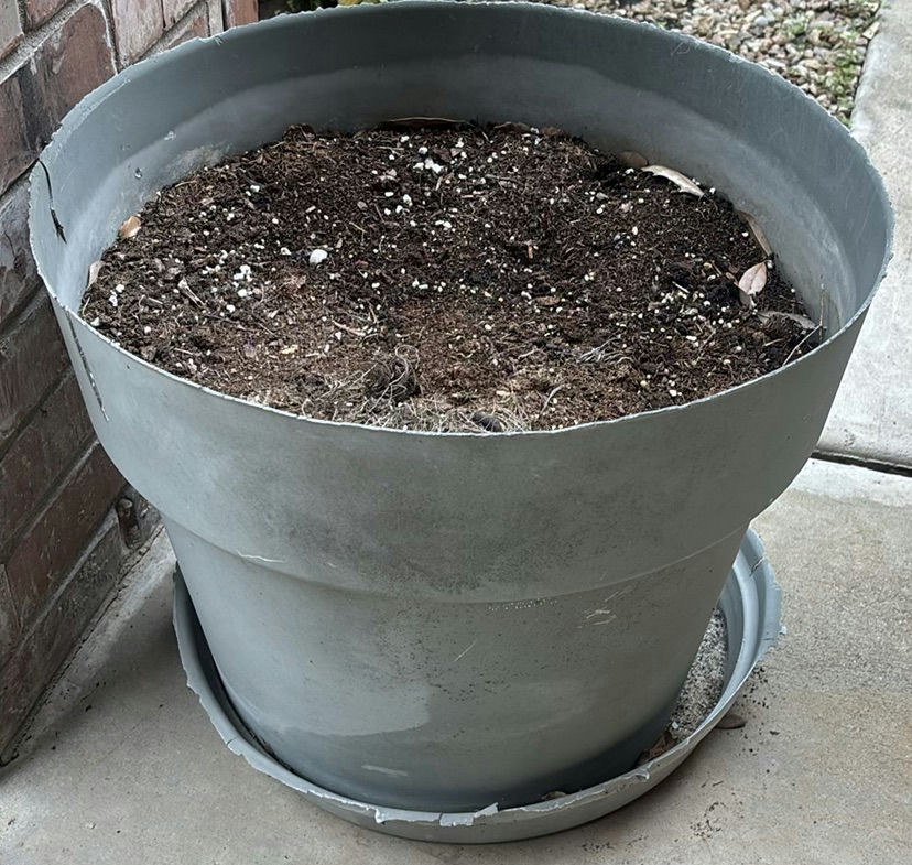 Assorted outdoor plant pots - image 4 of 6
