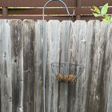 Rusty metal cowboy-hat humanoid garden sculpture with hanging basket - thumbnail 6 of 6