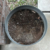 Assorted outdoor plant pots - thumbnail 3 of 6
