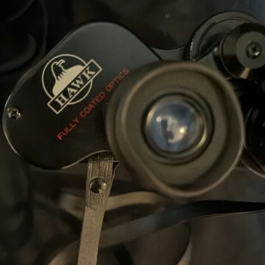Vintage binoculars with leather cases - image 9 of 10