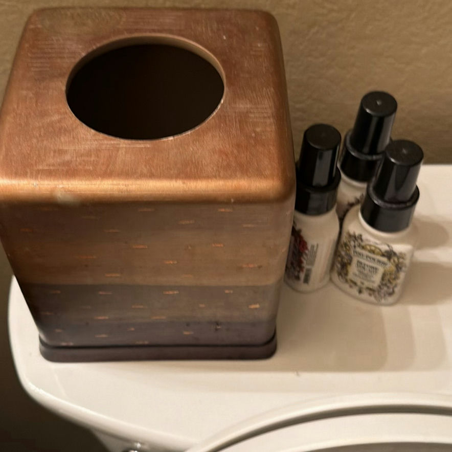 Bathroom items including shower curtain, caddy, brushes, mat, tissue box cover, and decorative grape arrangement - image 6 of 7