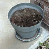 Assorted outdoor plant pots - thumbnail 5 of 6