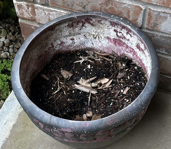 Assorted outdoor plant pots - image 1 of 6