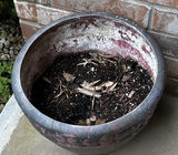 Assorted outdoor plant pots - thumbnail 1 of 6