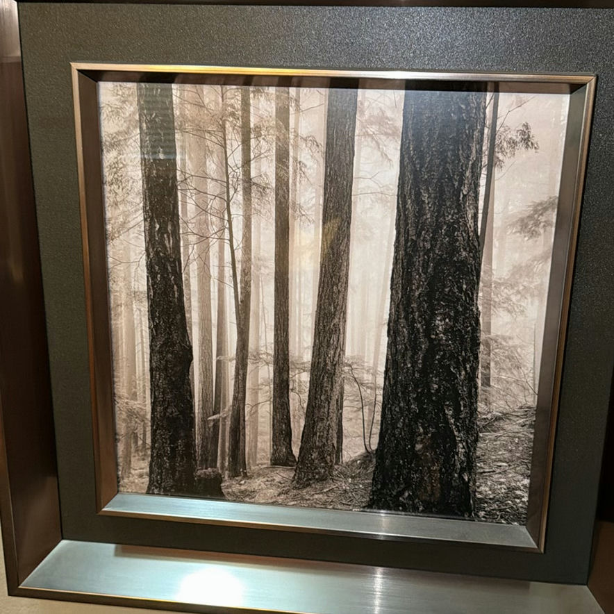 Framed Forest Scene Art - image 2 of 5