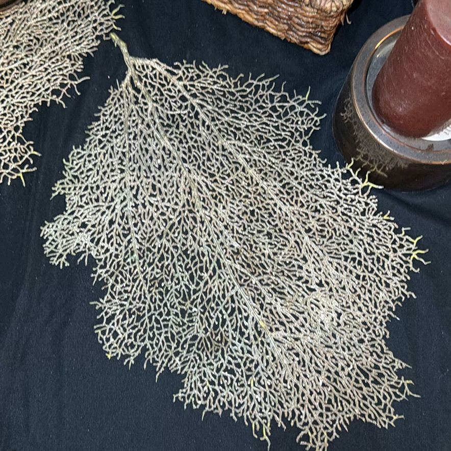 Dried botanical decor with candles, potpourri jar, and coasters - image 6 of 6