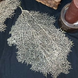 Dried botanical decor with candles, potpourri jar, and coasters - thumbnail 6 of 6