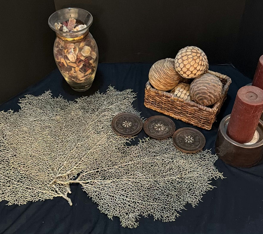Dried botanical decor with candles, potpourri jar, and coasters - image 1 of 6
