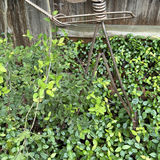 Rusty metal cowboy-hat humanoid garden sculpture with hanging basket - thumbnail 5 of 6
