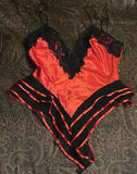 Assorted women's clothing and lingerie set - thumbnail 11 of 12