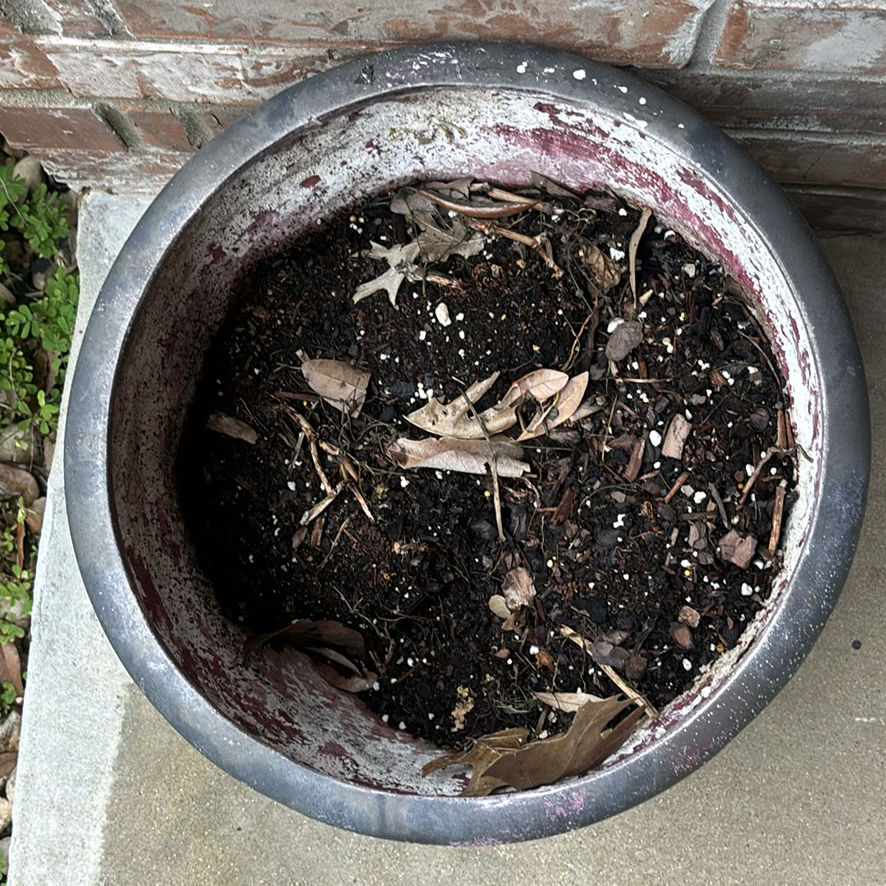 Assorted outdoor plant pots - image 2 of 6