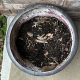Assorted outdoor plant pots - thumbnail 2 of 6