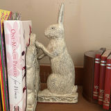 Rabbit Bookends with Children’s Books and Book Themed Coasters - thumbnail 4 of 4