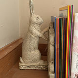 Rabbit Bookends with Children’s Books and Book Themed Coasters - thumbnail 3 of 4