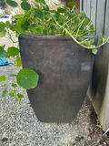 Large ceramic planters - thumbnail 2 of 3