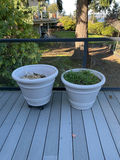 Two large plastic planters. - thumbnail 1 of 4