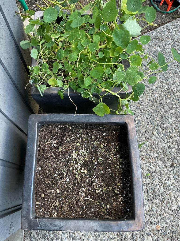 Large ceramic planters - image 3 of 3