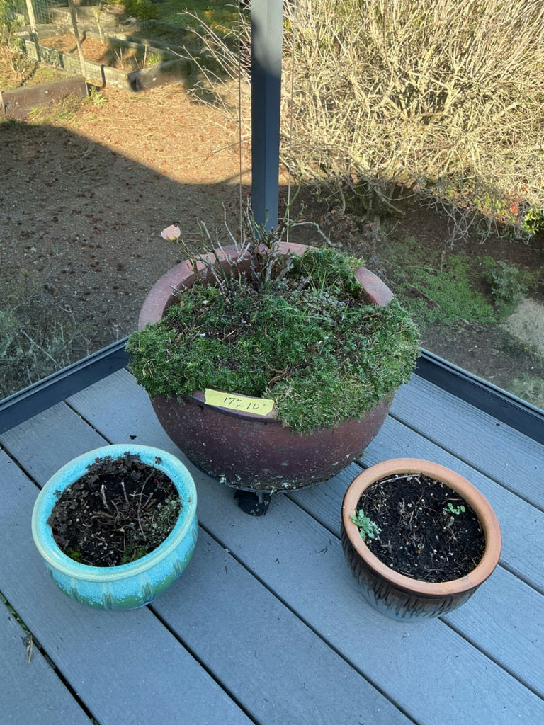 Ceramic and glazed planters.  - image 1 of 5