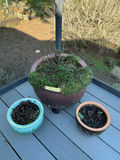 Ceramic and glazed planters. - thumbnail 1 of 5