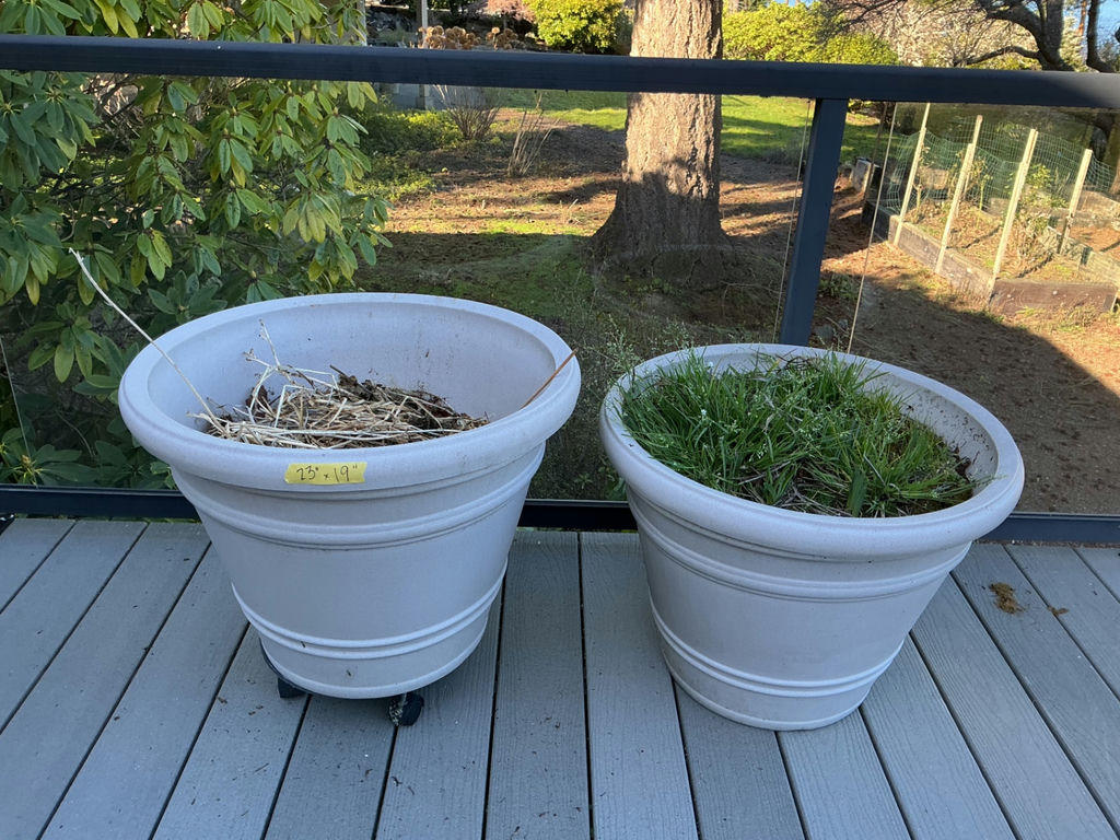Two large plastic planters.  - image 2 of 4