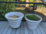 Two large plastic planters. - thumbnail 2 of 4