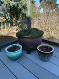 Ceramic and glazed planters. - thumbnail 5 of 5