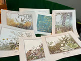 Fine art Prints - thumbnail 1 of 2