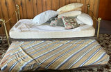 Brass daybed frame with mattress and pillows - thumbnail 4 of 6
