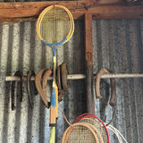 Chairs, sports gear, and garden tools collection - thumbnail 10 of 11
