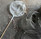 Assorted round wire mesh traps and a landing net - thumbnail 4 of 4