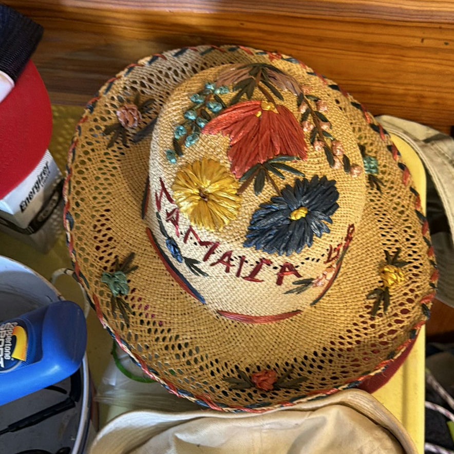 Assorted Hats and Household Miscellany - image 7 of 8
