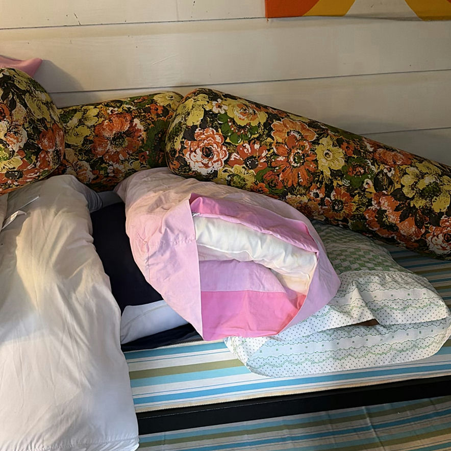 Assorted Bedding: Pillows, Blankets, and Cushions - image 4 of 6