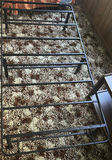 Mattress and Metal Bed Frame - thumbnail 3 of 7