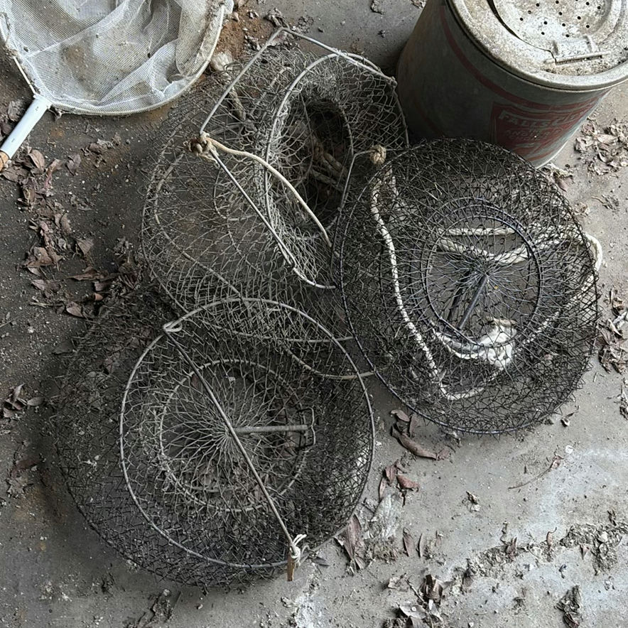 Assorted round wire mesh traps and a landing net - image 2 of 4