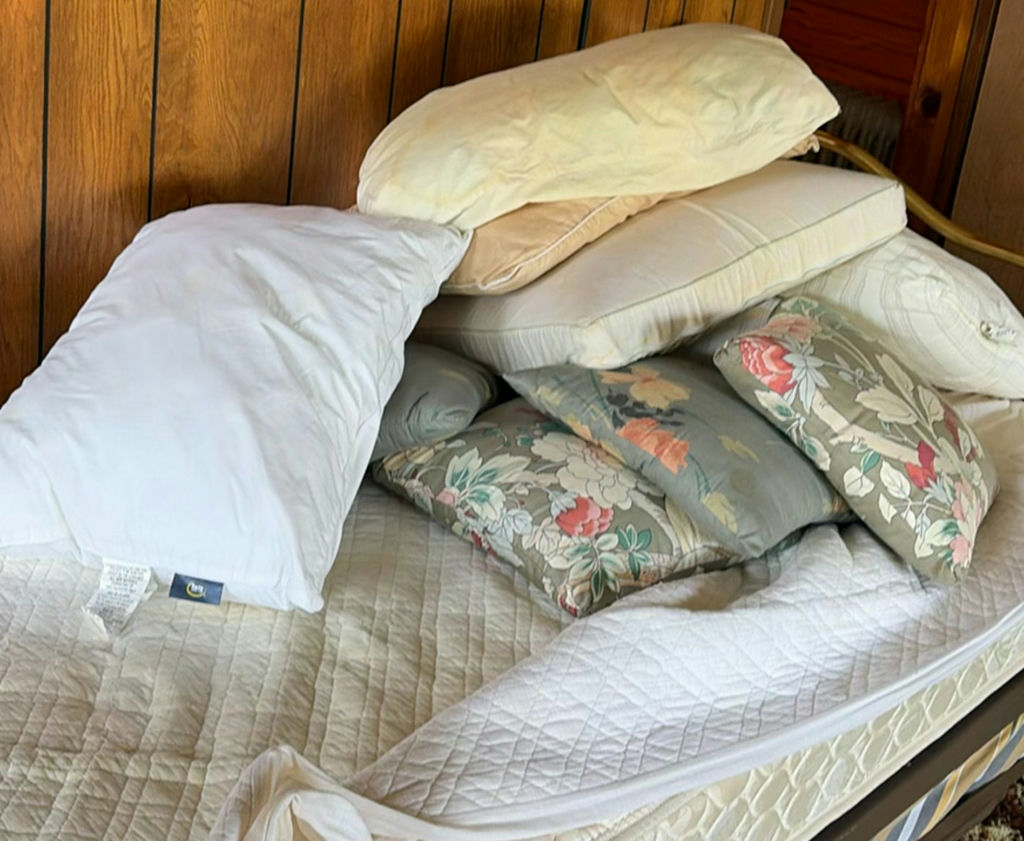 Brass daybed frame with mattress and pillows - image 6 of 6