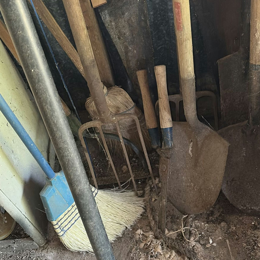 Assorted garden and yard tools - image 5 of 5
